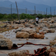 A woman walks on October 5, 2016 along a coastal road between Guantanamo and Baracoa which was left covered in rocks and severely damaged after the passage of Hurricane Matthew through the eastern tip of Cuba on Tuesday afternoon. Hurricane Matthew, the Caribbean’s worst storm in nearly a decade, barreled towards the Bahamas Wednesday morning after killing nine people and pummeling Haiti and Cuba. (Image: Getty)